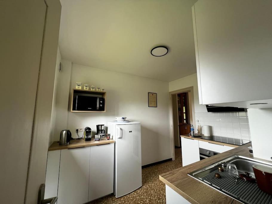 Appartement Dans Chalet - 75 M2 - 4 A 6 Personnes Saint-Gervais-les-Bains Exterior photo