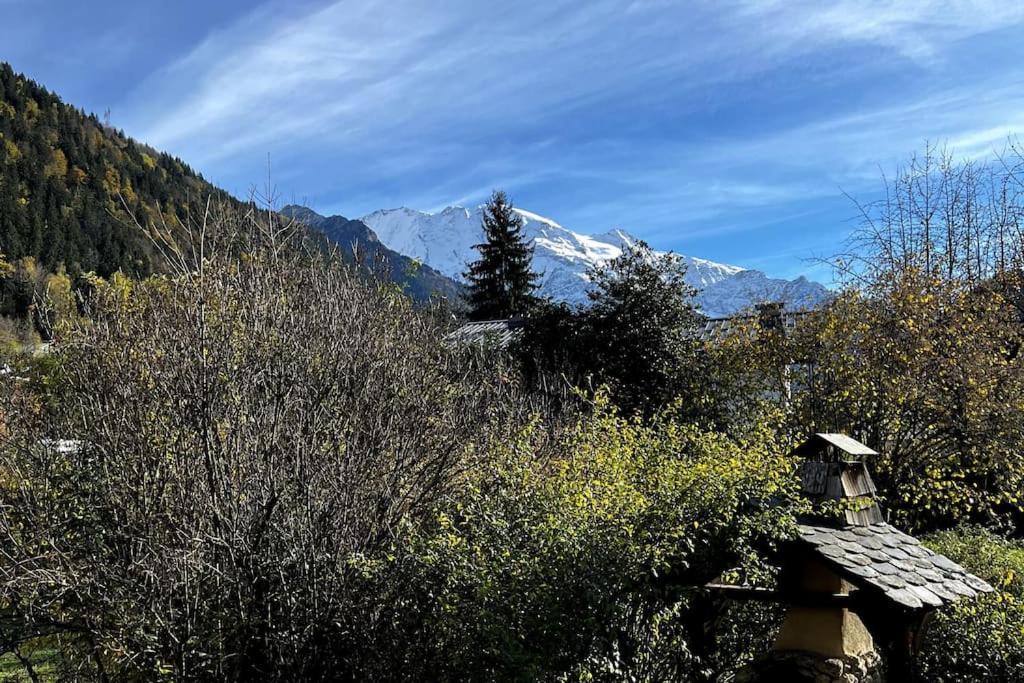 Appartement Dans Chalet - 75 M2 - 4 A 6 Personnes Saint-Gervais-les-Bains Exterior photo